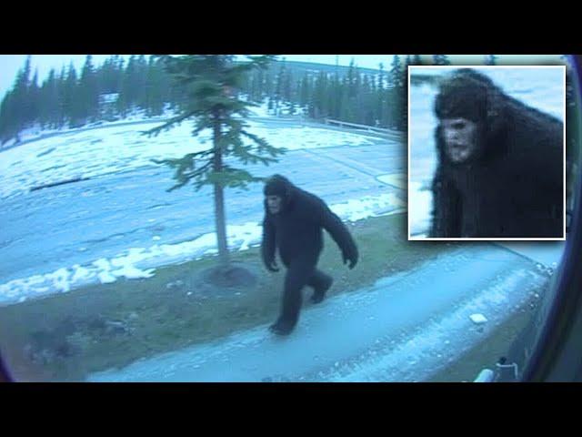 SASQUATCH in Portlock, Alaska, the SHOCKING Untold Story! "I can't BELIEVE what I SAW" #bigfoot