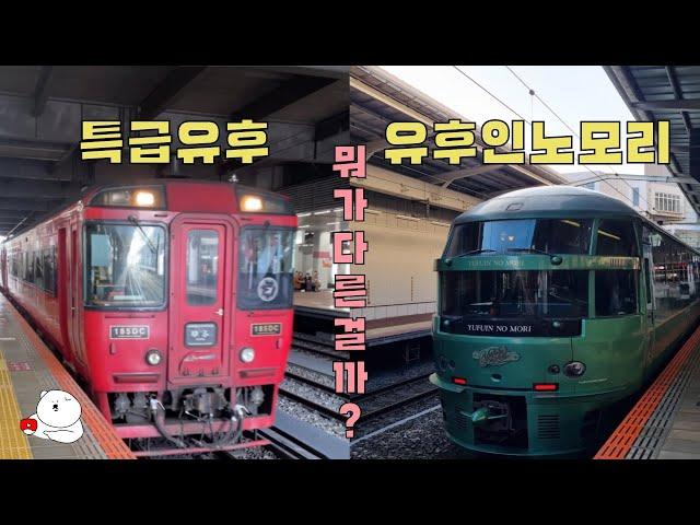 [일본 후쿠오카] 특급유후 vs 유후인노모리 차이점 보고 기차 예매하세요!(명당, 꿀팁, 장단점)