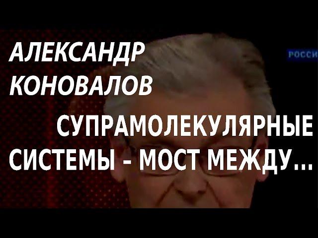 ACADEMIA. Александр Коновалов. Супрамолекулярные системы – мост между неживой и живой материей