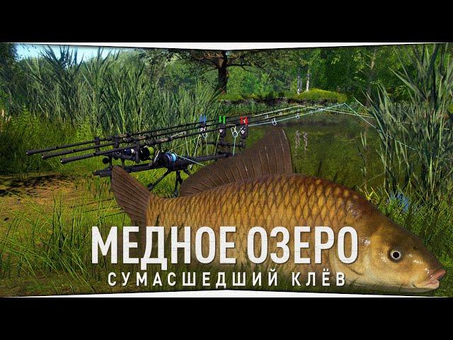 Сумасшедший клёв на Медном озере • Русская Рыбалка 4