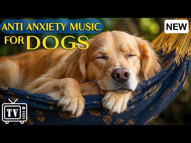 Anti Anxiety Music for Dogs: Soothing Lullabies for Anxious & Stressed Dogs! Calming Music for Dogs