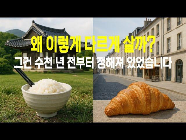 인간은 왜 이렇게 다르게 살까? - 인류 몰아보기 1편