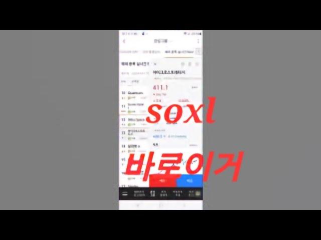 soxl 대응법 미국주식 나스닥 비트코인 투자