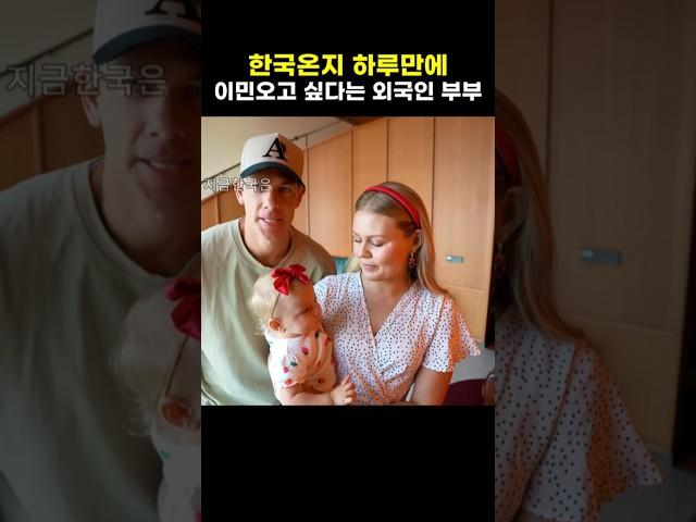 한국여행 하루만에 이민을 생각한 외국인 부부