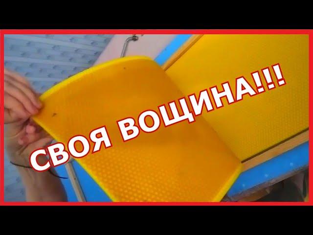 # Матрица для Вощины # Своя вощина