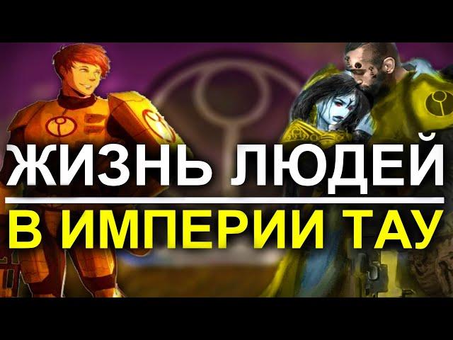 КАК ЖИВУТ ЛЮДИ в ИМПЕРИИ ТАУ? (WARHAMMER 40000)