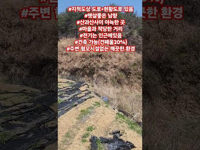 #10 안동시 아주 싸게매매하는땅#안동땅#의성땅#경북땅#영양땅