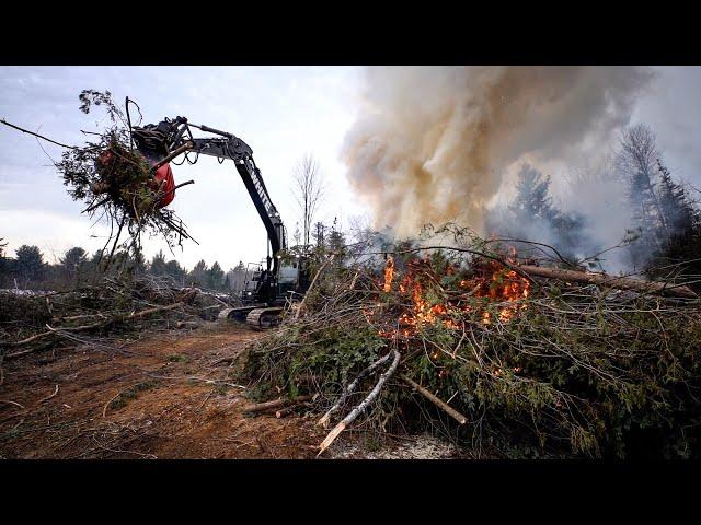 The First Stages of Building a Subdivision (Land Clearing with Excavator and Skid Steer)