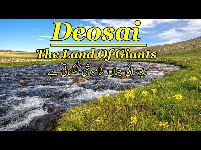 Deosai The Land of Giants | Deosai National Park | Gilgit-Baltistan | Ahsan Arain