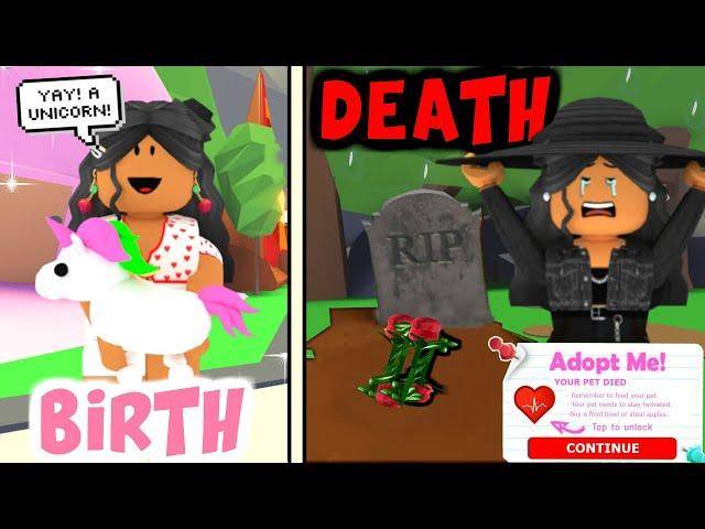 If PETS Could DIE in Adopt Me!!! | Roleplay | SunsetSafari