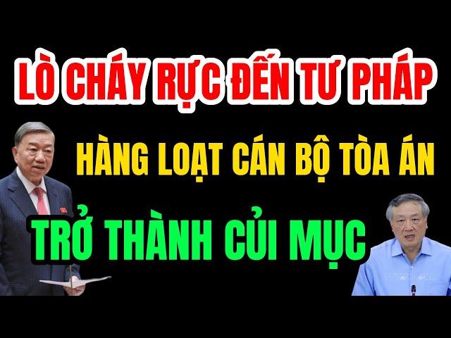 Lò Bác Tô Lâm Cháy Rực Đến Tư Pháp! Khi Hàng Loạt Cán Bộ Tòa Án ND Trở Thành Củi Mục