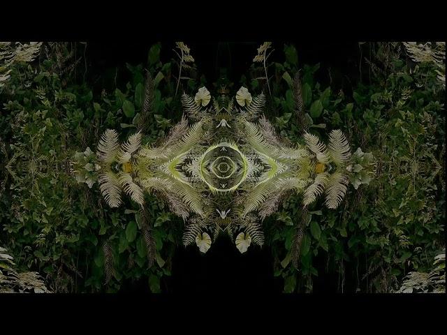 Raio - Buho (feat. Sophie Söfrēē)