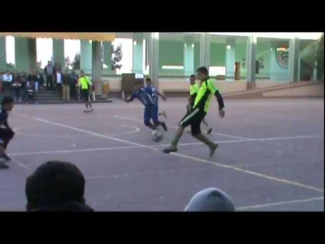 Malek Abu Shaban ( Skills )