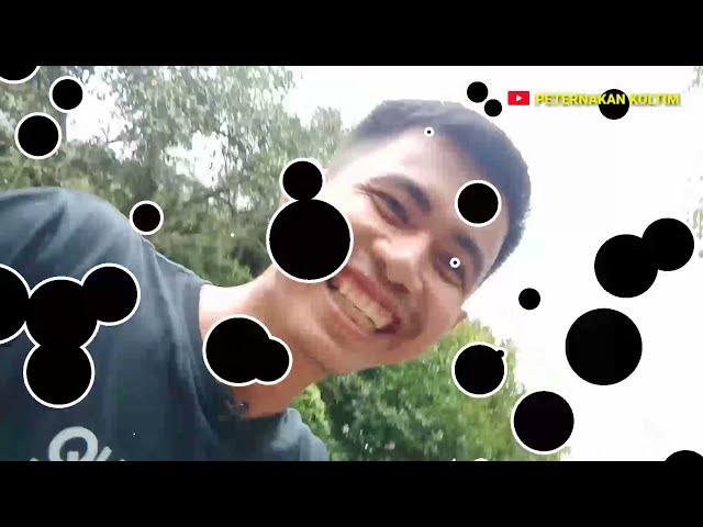 VIDEO KOMPILASI LUCU DITORAJA