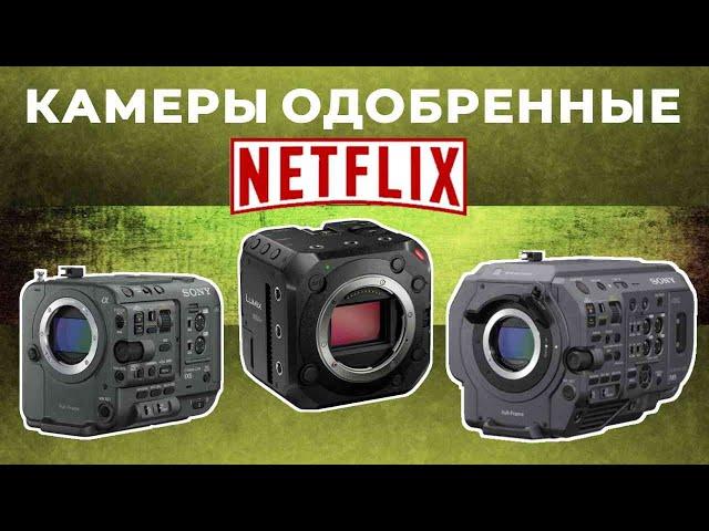 ТОП-5: Лучшие камеры одобренные Netflix 2025