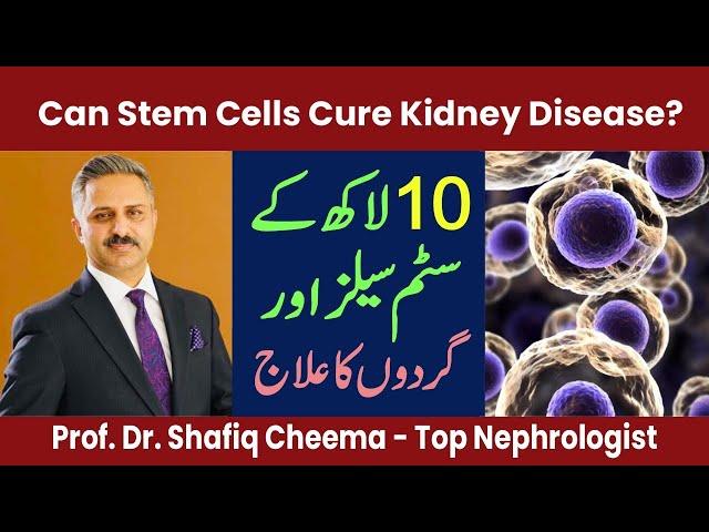 Stem Cell Treatment in Kidney Disease #shorts #stemcell