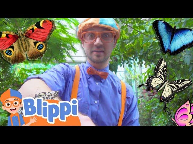 Blippi Visits the Center for Science | Blippi | Learning Show | STEM | Robots & Science