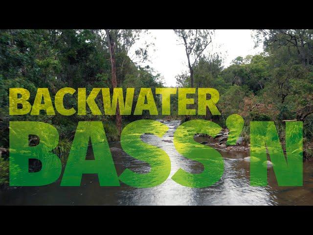 How to Catch Bass Fishing Soft Plastics - Exploring Suburban Creeks on Foot - Backwater Bassin'