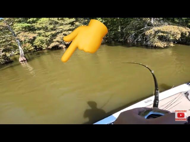 Breaking Down NEW Lake for BIG BASS