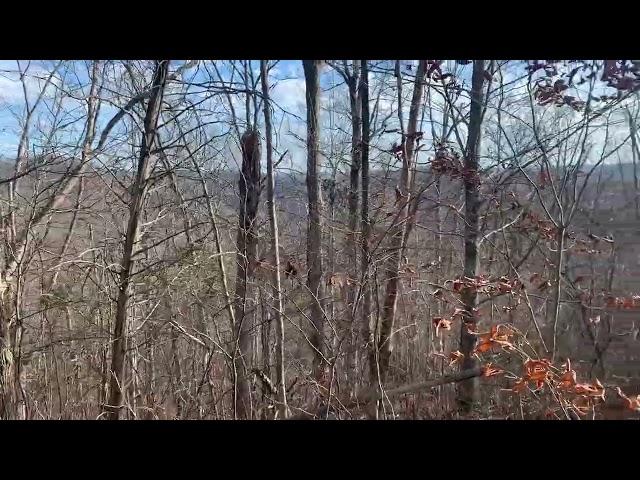 Video of Back 460 Cow Creek Ravenna, KY 40472