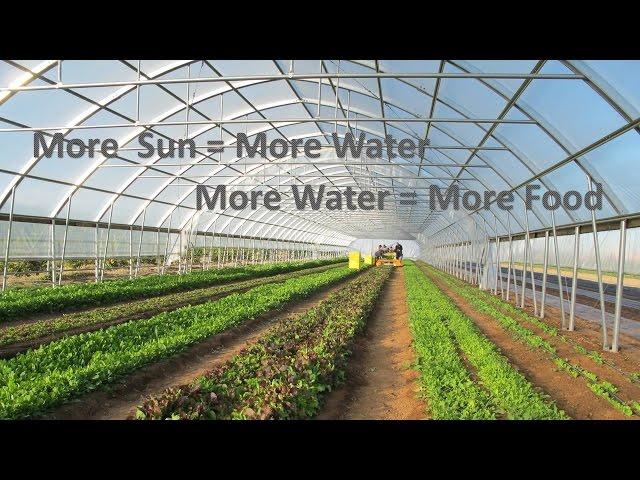 High Tunnel Irrigation with Direct Drive Solar: Part 1