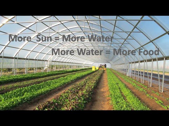 High Tunnel Irrigation with Direct Drive Solar: Part 1