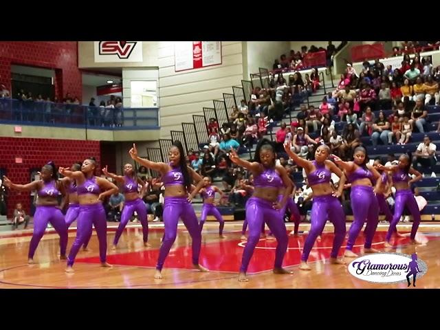 The Glamorous Dancing Divas of Flint, MI - Saginaw Dance Show