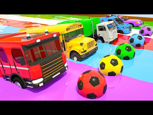 Wheels on the Bus + Five Little Monkeys Song | Color Balls | Baby Nursery Rhymes & Kids Songs