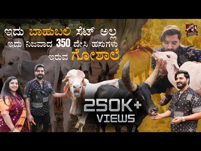 375 ದೇಸಿ ಹಸುಗಳು ಇರುವ ಗೋಶಾಲೆ | Sanctuary For Cows And Calf | Kannada Vlogs | Niranjan Deshpande