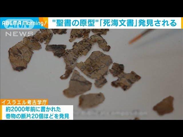 65年ぶりに“聖書の原型”「死海文書」発見される(2021年3月16日)