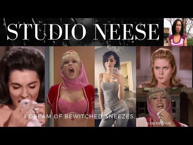 STUDIO NEESE: I DREAM OF BEWITCHED SNEEZING AND WONDER IF SSSNIPERWOLF EVER SNEEZES MAKING A VIDEO?