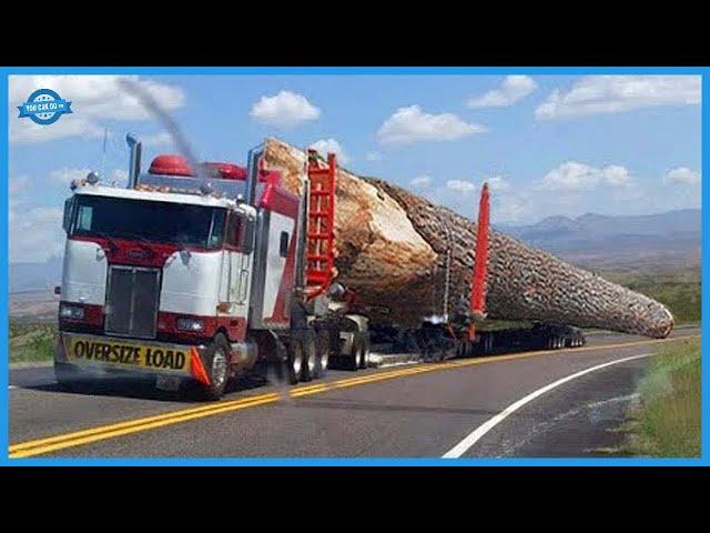 How To Harvest, Transport Large Logs. Manufacturing and Construction Process Of Milled Wood Home