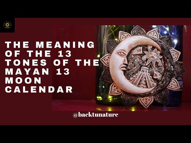 Energies Of The 13 Tones- Mayan Oracle-13 Day Wave Spell Cosmic Intelligence