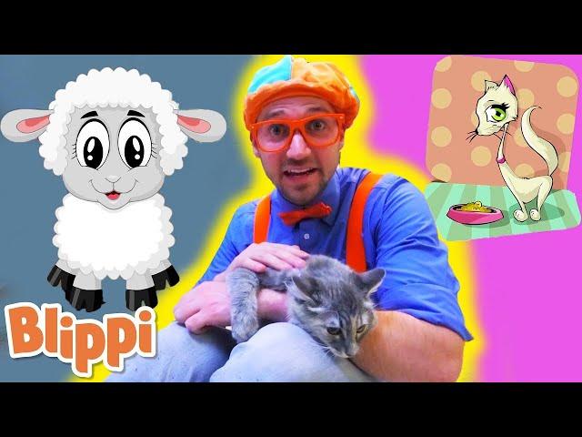 Blippi Visits an Animal Shelter | Kids Show | Toddler Learning Cartoons | Furry Friends