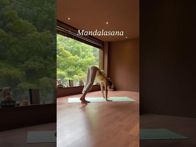 100명 중에 1명 가능한 요가 동작 (따라하지마세요 #고난이도요가 #요가강사 #yoga #mandalasana