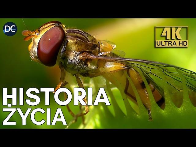 Rośliny - Władcy Świata Przyrody | Historia Życia, odcinek 1 | Dokument Przyrodniczy w 4K