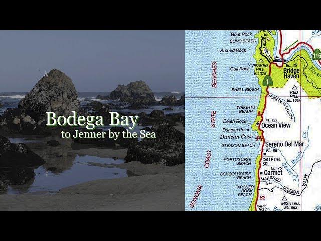 Bodega Bay to Jenner by the Sea | Exploring the Spectacular Northern California Coastline (Excerpt)