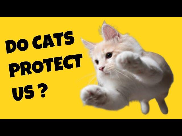 How Do We Know Cats Are Protecting Us? - Cat's Knowhow