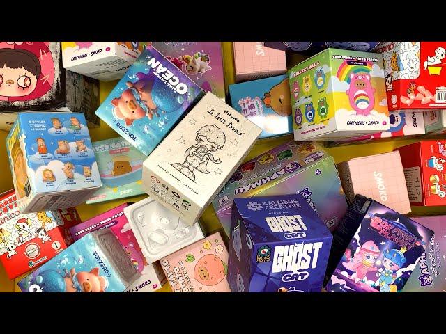 45 minutes of mystery surprise blind boxes Aphmau, Care Bears, Pop Mart, Tokidoki Hirono