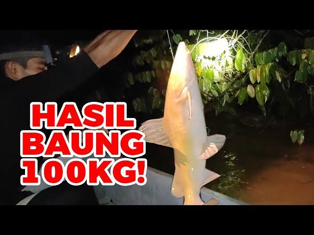 Tangkapan Ikan Baung Gergasi : 100KG Dalam Satu Trip – Kejayaan Mancing Terbesar Tahun Ini! eps #266