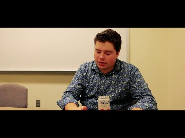 The Viral Video Company - A Mockumentary