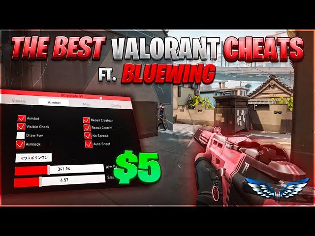 Using The BEST 5$ Cheats In Valorant (ft. BlueWing)