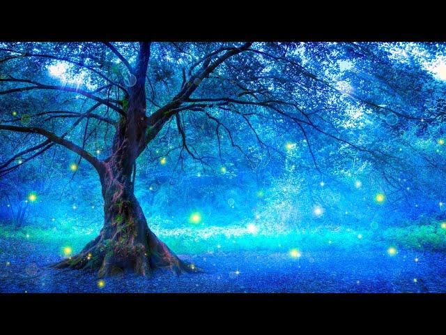 10 Hours Calming Sleep Music  Stress Relief Music, Insomnia, Relaxing Sleep Music (My Dream)