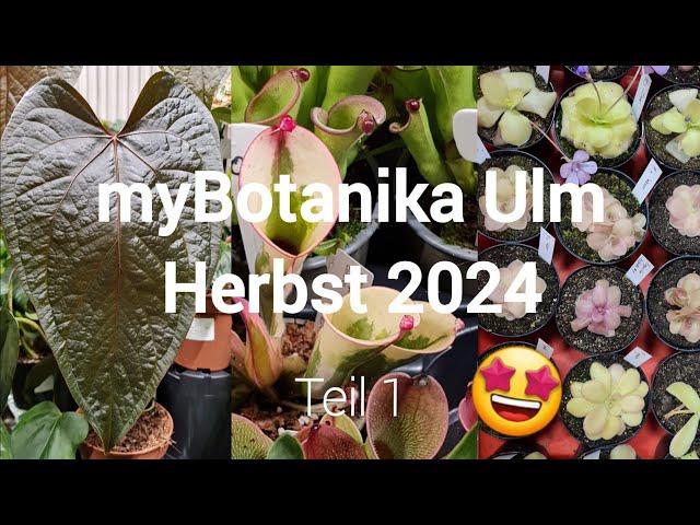 Die erste myBotanika in Ulm  | Herbst 2024  | Teil 1 