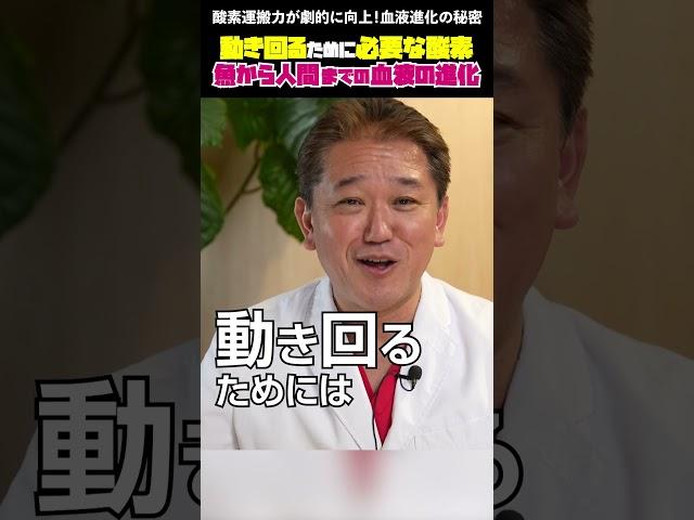 酸素運搬力が劇的に向上！血液進化の秘密 #血液進化 #ヘモグロビン #酸素運搬 #生物進化 #医学知識