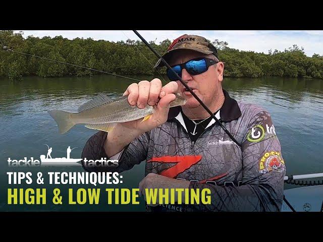 How to Catch Whiting on Yabbies - High & Low Tide with Paul Chew