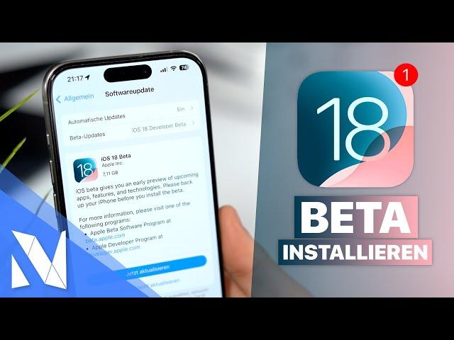 iOS 18 Beta installieren - SO EINFACH gehts! (kostenlos, direkt auf dem iPhone) | Nils-Hendrik Welk