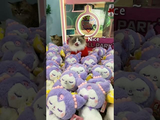  Puff’s dominating the claw machine with a mega magnet trick! ️ #PuffWins #ClawMachineHack