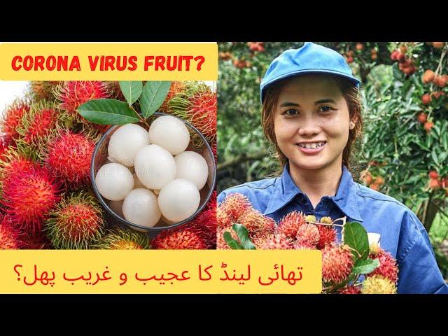 Corona virus fruit?? ll  کرونا وائرس پھل؟؟ ll Abroad Zindagi