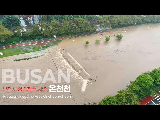 Busan Oncheon Stream! 300mm of heavy rain and water sea scene #Busan heavy rain #Busan real-time